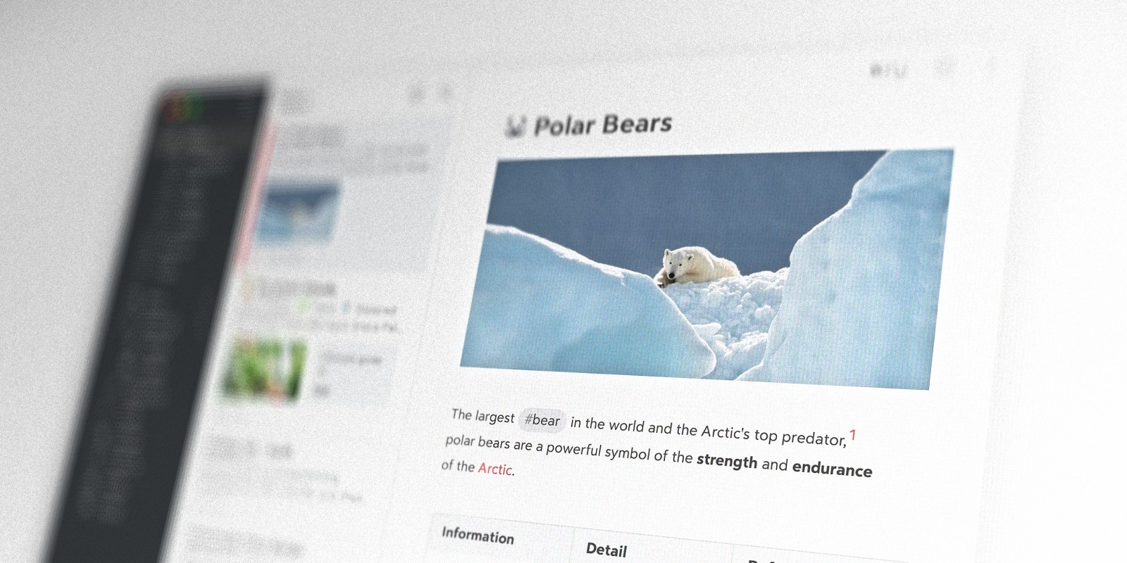 Screenshot of Bear app open